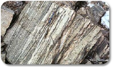 bgneiss