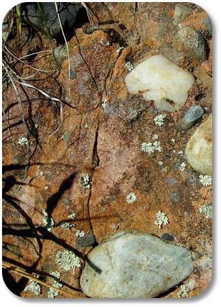conglomerate