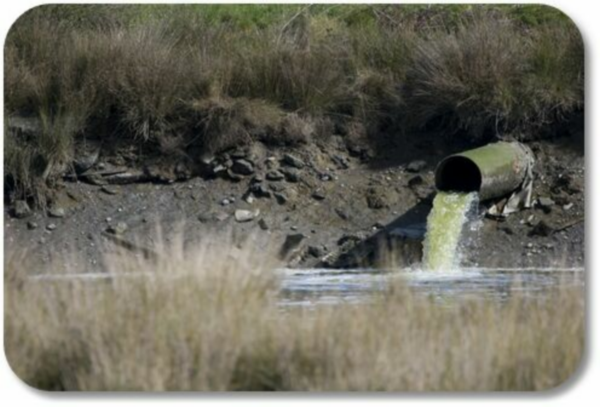 effluent