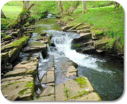 geomorphology