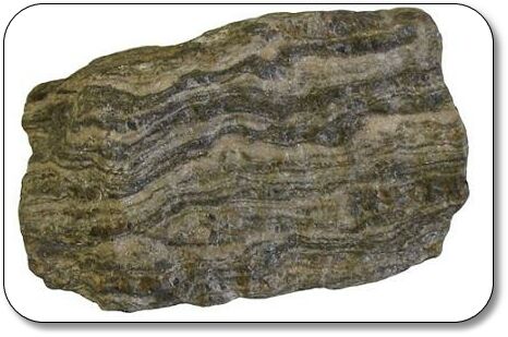 ggneiss