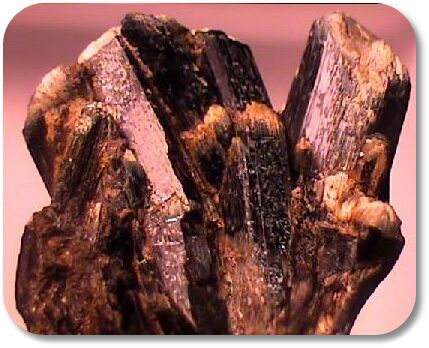 Hornblende