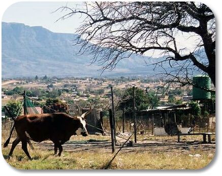 Limpopo