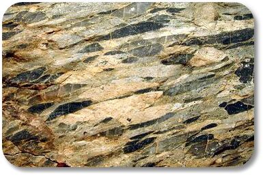 mconglomerate