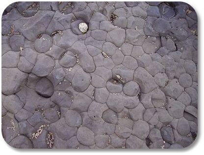 mudstone