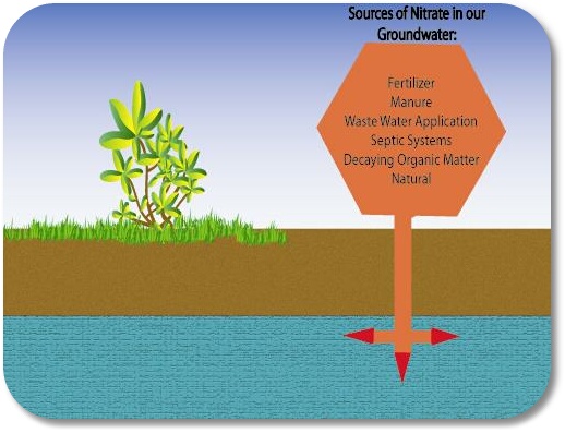 Nitrate