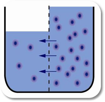 Osmosis