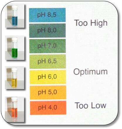 pH