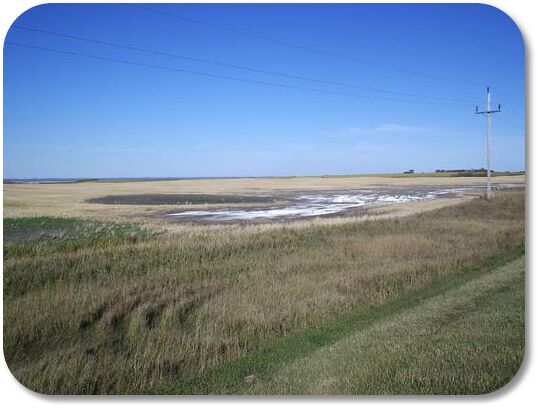 salinazation