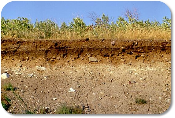 soil